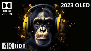 Oled Demo 2023 Dolby THX DLP Intros DOLBY ATMOS SOUND DESIGN 4K HDR 60FPS Dolby Vision [upl. by Kcirderfla]