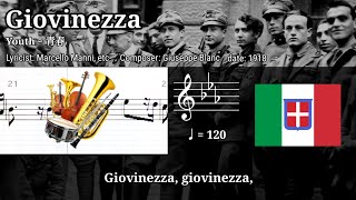 Giovinezza  instrumental ver 【イタリア軍歌】 [upl. by Bjorn367]