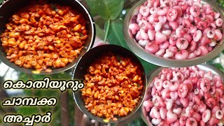 Chambakka Achar Recipe kerala style Rose Apple Pickle [upl. by Aerdua]