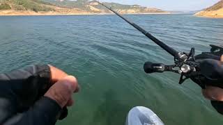 Field test of Loongze Airlite A100 DBC reel baitcasting bfsfishing bassfishing fishing loongze [upl. by Noeht599]