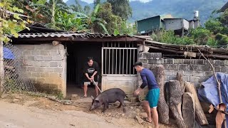 ĐÁM CƯỚI NGƯỜI GIÁY LẤY VỢ LOLO  KHÂU CHUẨN BỊ ĐÁM CƯỚI  MỔ 01 CON TRÂU 05 CON LỢN  100 CON GÀ [upl. by Inahet]