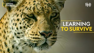 Learning to Survive  Savage Kingdom  Full Episode  S4E6  Nat Geo Wild [upl. by Brinna390]