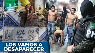 Así Ponen Fin A Las Pandillas Bukele Envía Reclusos A Destruir Tumbas De Pandilleros En El Salvador [upl. by Malik735]