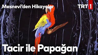 Tacir ile Papağan  Mesneviden Hikayeler 3 Bölüm [upl. by Graeme783]