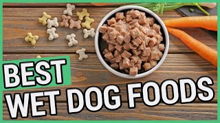 Best Canned Dog Food  5 Best Wet Dog Foods 2021 🐶 ✅ [upl. by Dobb]