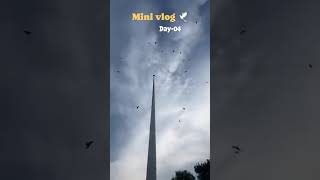 Day04Mini vlog 🕊 minivlog shortvideo travelvlog shortvideoformat trending songs [upl. by Gilbye459]