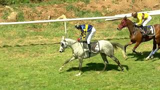 BRILLIANT LADY wins The Rahys Serenade Handicap Div2 [upl. by Maise]