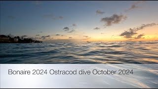 Bonaire 2024 Ostracod dive October 2024 [upl. by Htederem]