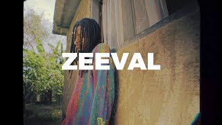 Zeeval  Faraway Official Video [upl. by Nordna691]