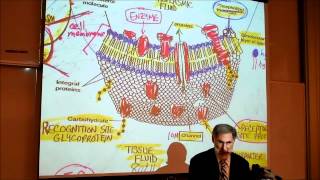 BIOLOGY CYTOLOGY PART 1 by Professor Fink [upl. by Anayet]