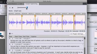 Scrolling Closed Captions in Adobe Captivatemp4 [upl. by Dnomaid]