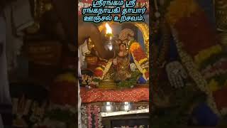 Srirangam Sri Ranganayaki Thayar Unjal Urchavamyoutubeshorts [upl. by Abercromby]