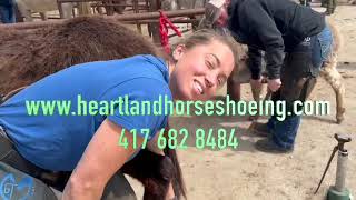 Heartland Horseshoeing School Best Farrier School [upl. by Iddo]