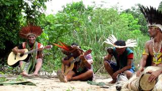 Shaman Songs of the Amazon Rainforest Pasha Dume [upl. by Adnerol857]