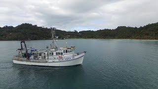 Marine Geology amp Geophysics at the University of Otago [upl. by Nortyad]