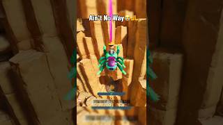 The thorax jumping spider is op for wyvern eggsshorts ark gaming arksurvivalascended [upl. by Ahsitel]