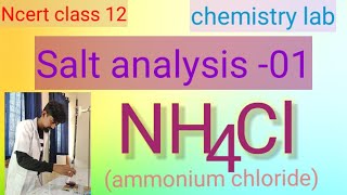 Ncert class 12chemistry practicalsalt analysis 01NH4ClAmmonium chloride [upl. by Schoening]