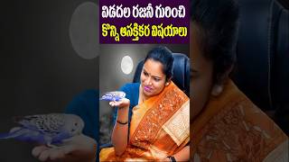 Untold Facts of Vidadala Rajini  AP Politician YCP  YS jagan CBN  Politics  Tollywood Nagaram [upl. by Enidan]