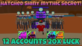 Using 12 Accounts to Hatch 100K Egg Hatched Shiny Mythic Secret Bubble Gum Remixed Roblox [upl. by Erialb952]