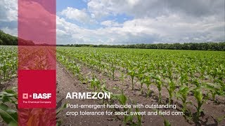 Armezon Herbicide Grower Testimonials  BASF [upl. by Eihctir]