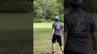 Throw my c line cd1 and parked this 390ft hole discgolf discmania frisbee innova ohio [upl. by Ttennaej]