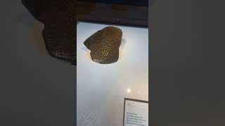 45 Billion Year Old Pallasite Meteorite At The Natural History Museum [upl. by Soilisav551]