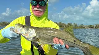 Fishing the Lagoon at El Pescador Belize [upl. by Sarad813]