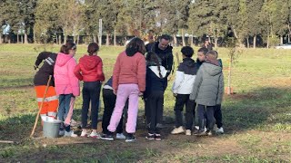 Les écoliers Carcassonnais plantent 100 arbres fruitiers [upl. by Norre255]