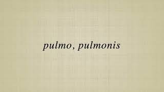 pulmo pulmonis [upl. by Buehler149]