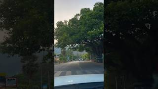 Road  shorts ttfvasan shorts viral trending shortsfeed shortsvideo youtubeshorts voice [upl. by Relyuhcs]