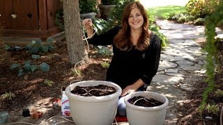 Using Drip Irrigation to Water Your Container Plants [upl. by Atnoved32]