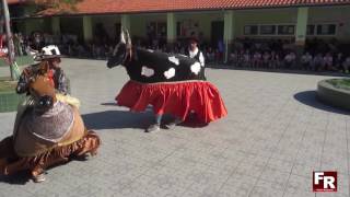 Apaeanos de Jaguaruna apresentam Boi de Mamão em Tubarão [upl. by Aliwt]