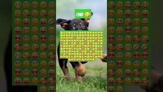 Level medium 2emoji1wordwordfindanswers emoji emojichallenge levelfun love greenscreen funny [upl. by Ekusuy254]