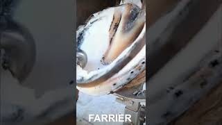 A Skilled Farrier At Work [upl. by Ladonna]