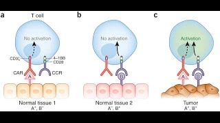 Tumor specific antigen [upl. by Euh118]