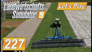 LS19 227 Feld zusammenlegen und vergrößern Farming Simulator 2019 LetsPlay Landwirtschaft [upl. by Asilaj]