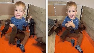 Cute Puppies and Baby Playing Together  Playful puppies  Baby  Toddlers [upl. by Dwain808]