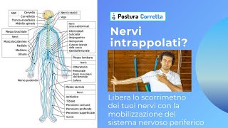 Nervi in trappola Liberali con PosturaCorretta la Mobilizzazione del sistema nervoso periferico [upl. by Ligetti]