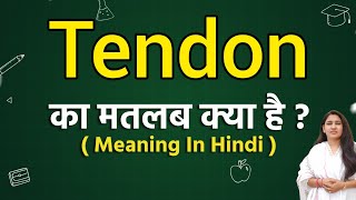 Tendon meaning in hindi  Tendon ka matlab kya hota hai  Word meaning [upl. by Landes]