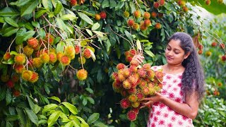 Savoring the Sweetness Rambutan Jam and Dosi Refreshments Galore  Traditional Cookbook [upl. by Odille]