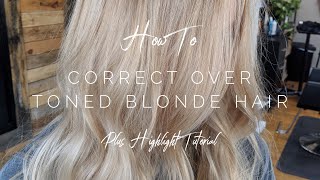 How To Correct Over Toned Hair and Bonus Highlight Tutorial  Hair Tutorial [upl. by Julita]