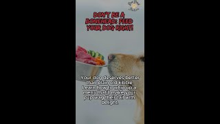 TailorMade Diet Best Food for Your Dogs Age amp Size [upl. by Selemas718]