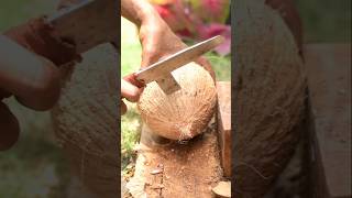 Smart way to remove coconut meat from its shell [upl. by Matrona]