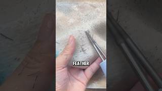 Efficient Electric Poultry Feather Plucker A StepbyStep Guide😅😅 wildanimalfacts facts [upl. by Eidak]