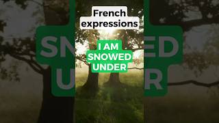 How to say I AM SNOWED UNDER in French shorts [upl. by Ettenirt627]