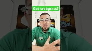 How to kill crab grass in your lawn crabgrass lawncare [upl. by Hendrika]