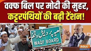 PM Modi Statement On Waqf Board वक्फ बिल पर मोदी की मुहरउलेमा बोर्ड बेचैन  Maharashtra Election [upl. by Yeliac]