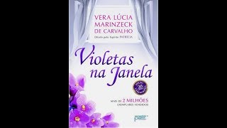 Violetas na Janela  Áudio Livro Completo AudioBook [upl. by Saixela153]