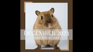 BaZi amp Feng Shui Talk  December 2023  Rat Month [upl. by Neros]