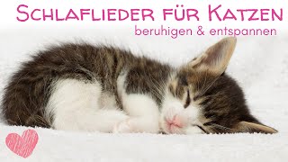 Schlaflieder für Katzen  Beruhigungsmusik für Katzen Hunde und alle die ruhige Klaviermusik mögen [upl. by Ken415]